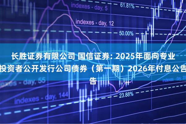 长胜证券有限公司 国信证券: 2025年面向专业投资者公开发行公司债券（第一期）2026年付息公告