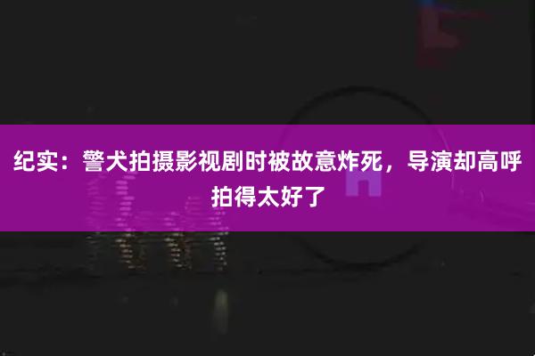 纪实：警犬拍摄影视剧时被故意炸死，导演却高呼拍得太好了