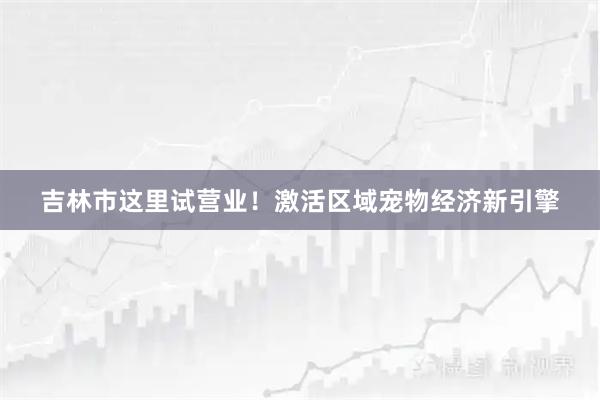吉林市这里试营业！激活区域宠物经济新引擎